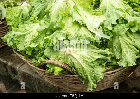 Panier à salade sur le marché. Saint Jacques de Compostelle, Galice, Espagne Banque D'Images