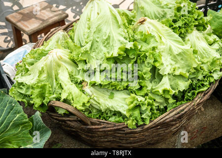 Panier à salade sur le marché. Saint Jacques de Compostelle, Galice, Espagne Banque D'Images