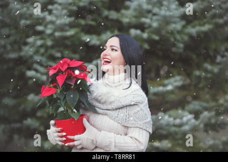 Smiling Woman Holding Pot avec Noël poinsettia rouge l'extérieur. Selective focus on woman Banque D'Images