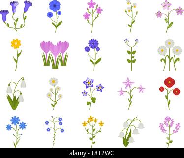 L'icône de fleurs sauvages situé dans les coronaires, style plat, bleuet, camomille, DAISY, etc., les plantes vector illustration Illustration de Vecteur