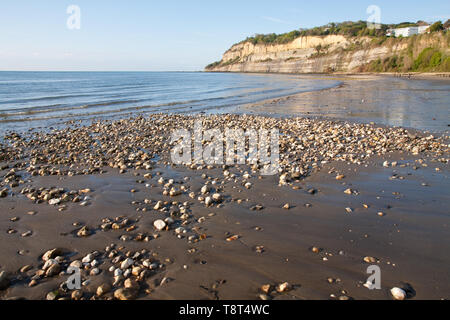 La plage de Shanklin à frapper vers Falaise sur un matin de printemps ensoleillé prises à partir d'un angle faible à marée basse Banque D'Images