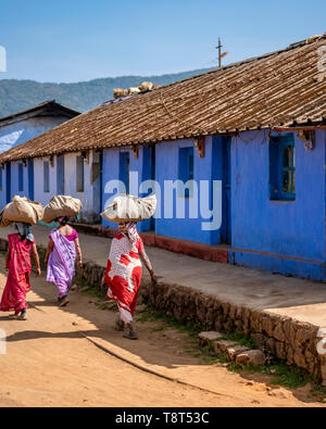 Vue verticale d'une plantation de thé, village de Munnar, Inde. Banque D'Images