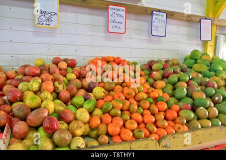 Les fruits et légumes, de blocage de la Guadeloupe, des îles des Caraïbes, France Banque D'Images