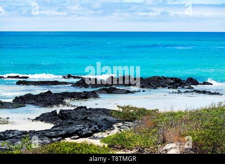 Des roches de lave sur la côte, l'île Isabela, îles Galapagos, Equateur Banque D'Images