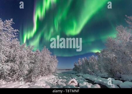 Northern Lights (aurores boréales) sur le paysage de la rivière Snowy, Parc National Pallas-Yllastunturi, Muonio, Laponie, Finlande Banque D'Images