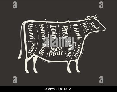 Couper la viande de boeuf dessiné sur le tableau noir. Menu de restaurant ou de boucherie. Vector Illustration de Vecteur