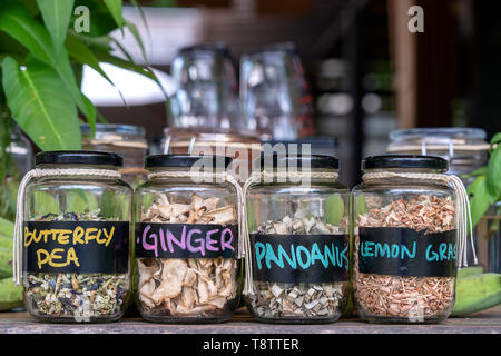 Assortiment d'épices séchées dans des bouteilles en verre sur fond de bois. Le gingembre sec, pandanus, citronnelle et pois papillon dans un bocal en verre, Close up Banque D'Images