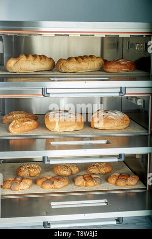 Four électrique industriel pour le traiteur avec set de la nourriture. Des produits de boulangerie Banque D'Images