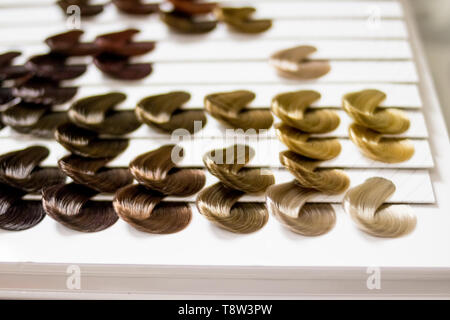 Jeu complet de serrures de tous le plus utilisé des échantillons de couleur de cheveux, forme arrondie.coiffeur office.La teinture ou changer la couleur des cheveux concept.Selective focus Banque D'Images