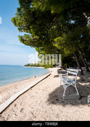 Banc en bois blanc sur la plage vide sous les pins à Tucepi, Croatie Banque D'Images