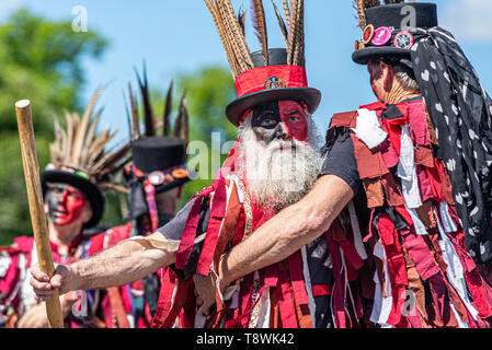 Dark Horse Border Morris, troupe de danse morris. Maldon a basé des danseurs Morris en costume noir et rouge. Danse Morris traditionnelle de style frontière Banque D'Images