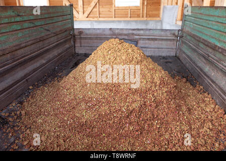 Pomme, pulpe - Sous-produit est produit lorsque vous appuyez sur le jus de pomme et nous l'utilisons pour l'alimentation des animaux sauvages dans les mois d'hiver Banque D'Images