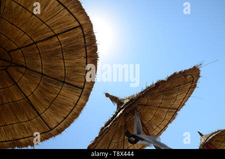 Vue depuis dans le cadre d'une claire journée d'été. Le soleil brille à travers la paille parasol Banque D'Images