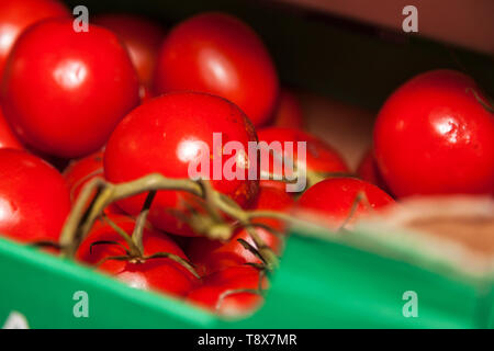 Tomates fraîches dynamique dans une boîte Banque D'Images