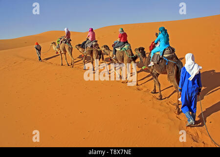 Les touristes profiter de chameau dans les dunes de l'Erg Chebbi, Merzouga, Maroc Banque D'Images