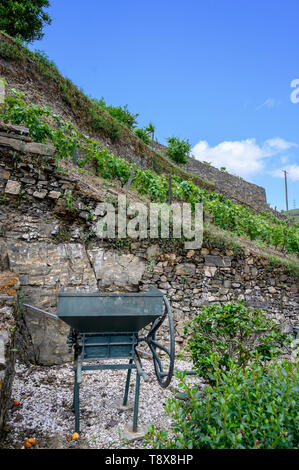 Vieux Pressoir manuel échelonnées entre vignes dans le Douro Portugal Banque D'Images