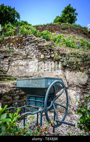 Vieux Pressoir manuel échelonnées entre vignes dans le Douro Portugal Banque D'Images