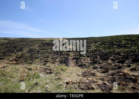 Marsden Moor, Greater Manchester, UK. Le 15 mai 2019. Météo France : incendie endommagé de landes sur Marsden Moor Estate, Greater Manchester, UK. Crédit : Barbara Cook/Alamy Live News Banque D'Images