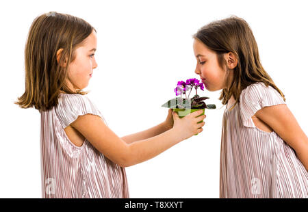 Lits jumeaux identiques est fille de fleurs odorantes - don de soeur. Petite fille enfant est un cadeau ou présente des fleurs à Sa sœur. Vue de profil, studi Banque D'Images