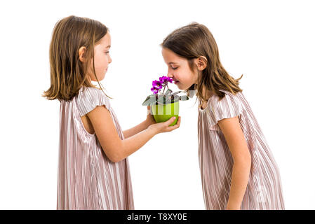 Lits jumeaux identiques est fille de fleurs odorantes - don de soeur. Petite fille enfant est un cadeau ou présente des fleurs à Sa sœur. Vue de profil, studi Banque D'Images