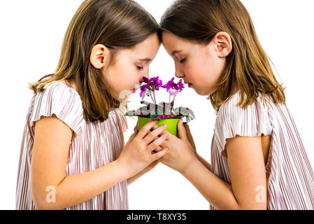 Lits jumeaux identiques sont girl smelling viola flower pot vert. Les petites filles - les enfants sont des fleurs odorantes avec les yeux fermés. Vue de profil, studio shot, iso Banque D'Images
