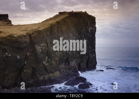 Spectaculaire littoral d'Islande Banque D'Images