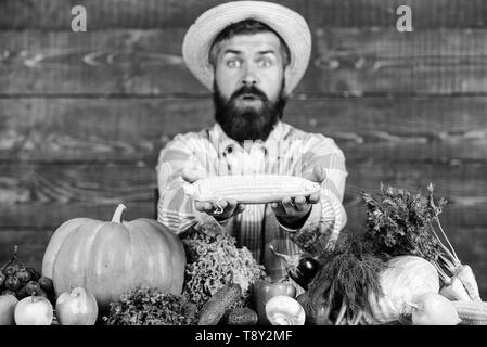 Agriculteur présentant des légumes frais. Récolte de chez nous avec l'agriculteur. En rafles de mains de flou artistique, agriculteur. La récolte du maïs frais. Développer les cultures biologiques. Agriculteur de rafles de maïs ou de tenir l'arrière-plan en bois. Banque D'Images