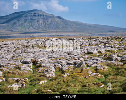 Lapiez - une zone de calcaire érodé par l'eau - sur les balances Moor dans les vallées du Yorkshire, UK, avec Ingleborough dans l'arrière-plan Banque D'Images