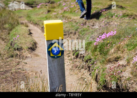 Signe de sentier de la côte bilingue sur le sentier côtier à Borthwen de Silver Bay avec une personne marchant. Rhoscolyn, Isle of Anglesey, pays de Galles, Royaume-Uni Banque D'Images