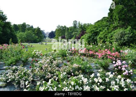 Milan/Italie - 1 juin 2015 : une vue panoramique sur l'Arc de la paix et de buissons de roses du Simplon, du parc Parco Sempione à Milan. Banque D'Images