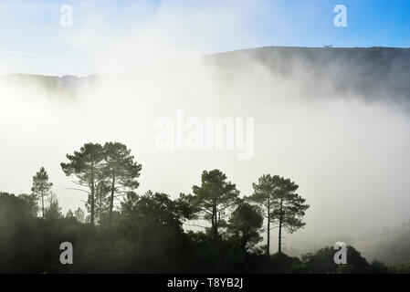 Parc naturel Arrabida dans un matin brumeux. Palmela, Portugal Banque D'Images