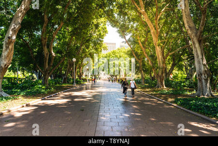 Alley et les gens à l'ombre de grands arbres dans la partie sud de Hyde Park à Sydney , Australie Banque D'Images