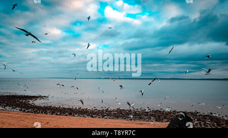 Plage de Concord sur le front de mer de Southend-on-Sea, Essex, Angleterre Banque D'Images