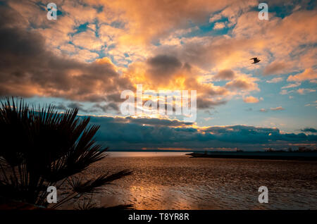 Plage de Concord sur le front de mer de Southend-on-Sea, Essex, Angleterre Banque D'Images