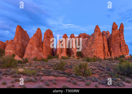 Piliers en grès rouge au coucher du soleil - Vue du coucher de soleil d'un mur de grands piliers en grès rouge dans le jardin Devils, Arches National Park, Utah, USA. Banque D'Images