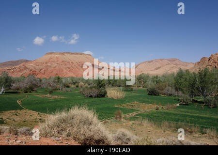 Gamme Mounatin avec certaines formations rocheuses et arbres verts et des champs dans la vallée du Dadès, au Maroc Banque D'Images