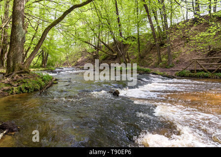 Avis de cascades sur la rivière Tanew réserve naturelle en Tanwia Nad en Pologne orientale Banque D'Images