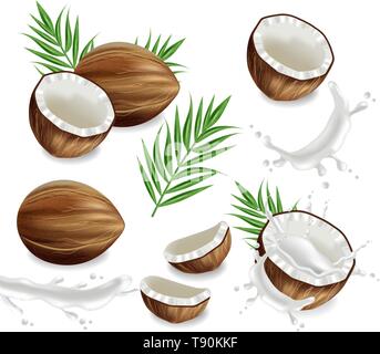 Coco avec splash set Vector collection réaliste. Modèle de mise en page carte exotiques tropic Illustration de Vecteur