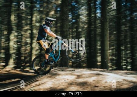 Les coureurs de vélo de montagne au saut à la tables BikePark Galles Trail Centre à Merthyr Tydfil, Galles du Sud. Images montre la rapidité de l'riders Banque D'Images