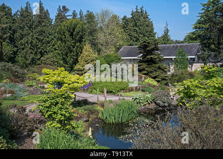 Rock Garden et Nouvelle-calédonie située sur le Royal Botanic Garden Edinburgh (RBGE), Ecosse, Royaume-Uni. Banque D'Images