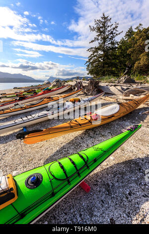 Kayaks sur la plage de shell beach, la Princesse Maragret Parc marin, l'Île de Portland, Réserve de parc national des îles Gulf, en Colombie-Britannique, Canada. Banque D'Images