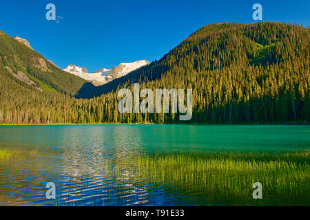 Lac Joffre inférieur, Joffre Lakes Provincial Park, British Columbia, Canada Banque D'Images