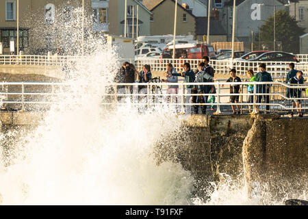 Pays de Galles Aberystwyth UK, le mercredi 15 mai 2019 UK Weather : un groupe de scouts obtenir éclaboussé par les vagues à Aberystwyth, sur un lumineux, ensoleillé et très chaud en soirée peut, comme le sort de la haute pression continue à dominer la météo au Royaume-Uni Crédit photo : Keith morris/Alamy Live News Banque D'Images