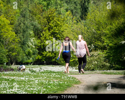 Eastchurch, Kent, UK. 16 mai, 2019. Météo France : un après-midi ensoleillé de Eastchurch, Kent. Credit : James Bell/Alamy Live News Banque D'Images