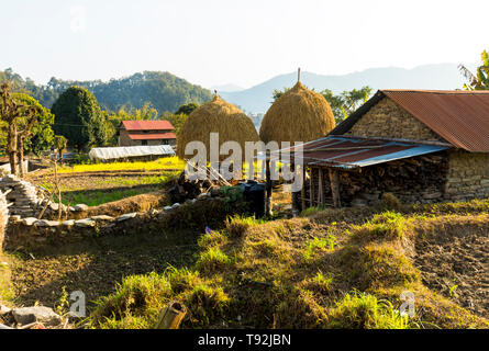 Maisons traditionnelles népalaises et prends en terrain Village Pokhara Népal Setti Banque D'Images