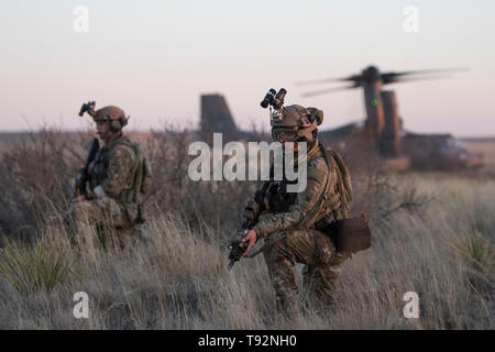 Un membre de l'équipe chirurgicale d'opérations spéciales et d'une tactique spéciale avec l'Airman 720th Special Tactics Group assurent la sécurité lors de la validation de la formation préalable au déploiement, le 25 mars 2019, à Melrose Air Force Range, Nouveau Mexique. (U.S. Air Force photo par le Sgt. Jason Robertson) Banque D'Images