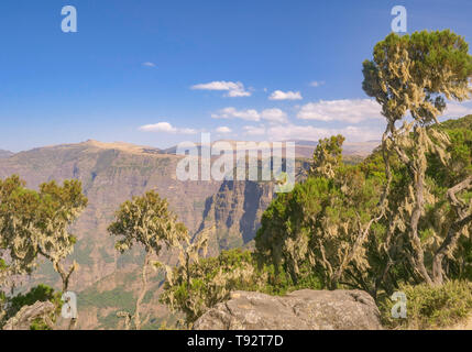 Parc national des montagnes du Simien en Ethiopie Banque D'Images