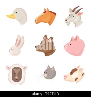 Chien,cheval,Vache,Moutons,chèvres,Turquie,chick,cat,,face,cochon,oiseaux,animal,génisse,Animaux,pâques,chaton chiot,fromage,funny, poulet, porc, lait, élevage,agneau,de Grâce,mignon,viande,ferme,bovins,head,alimentation,campagne,maison,agriculture,ferme,reproduction,bio,ranch,set,icône,,illustration,collection,isolé,design,graphisme,élément signe,caricature,couleur,vecteurs vecteur , Illustration de Vecteur