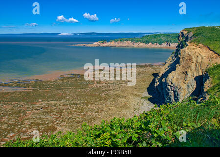 Le cap Enragé Nouveau-Brunswick Canada Banque D'Images