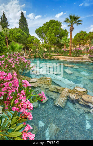 Cleopatra extérieure avec fleurs, Pamukkale, Turquie Banque D'Images